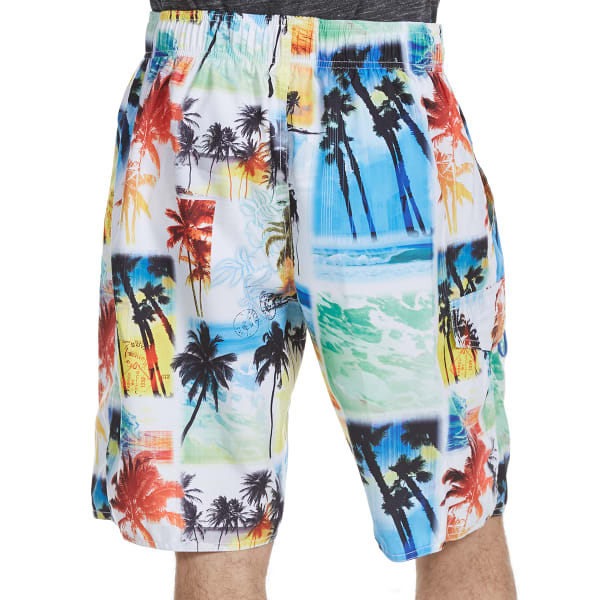 NEWPORT BLUE Men's Starting Over Palm Print Swim Shorts