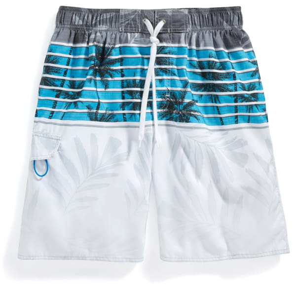 NEWPORT BLUE Men's Skyline Palms Swim Shorts