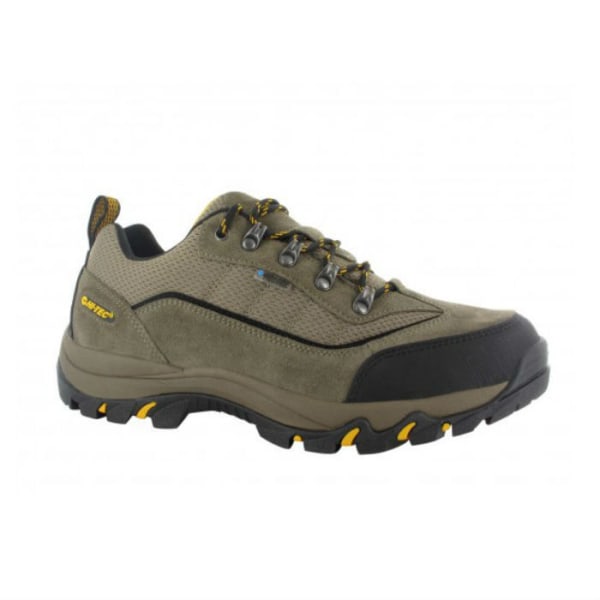 HI-TEC Men's Skamania Low WP Hiking Shoes, Smokey Brown/Taupe/Gold