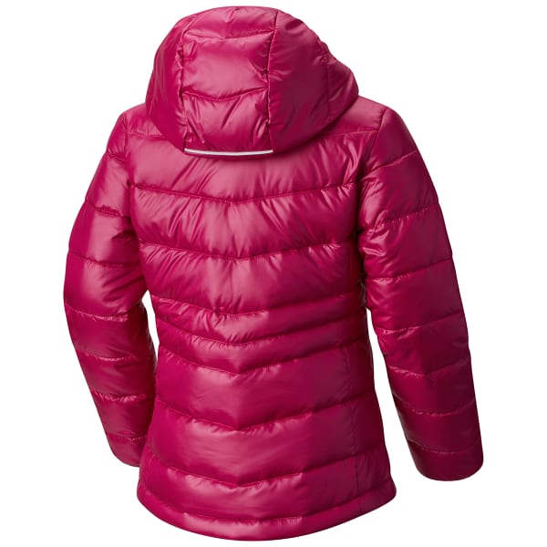 COLUMBIA Big Girls' Gold 550 TurboDown Hooded Down Jacket