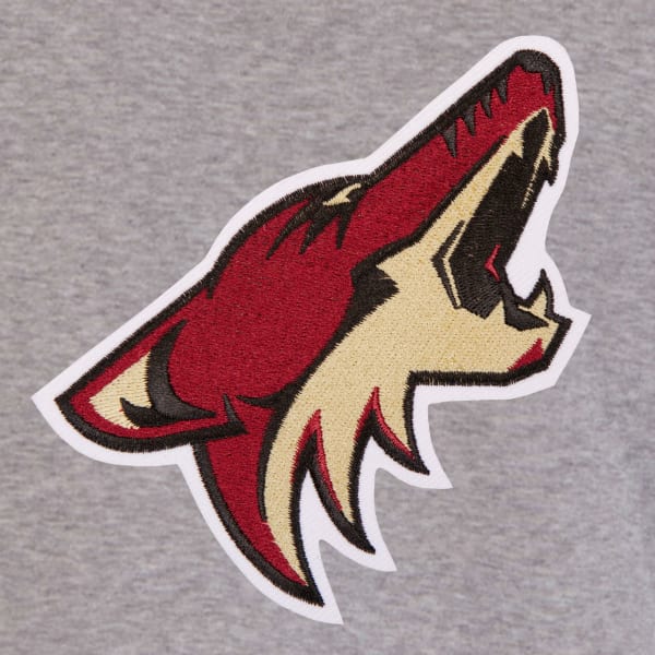 JH DESIGN Men's NHL Arizona Coyotes Reversible Fleece Hooded Jacket