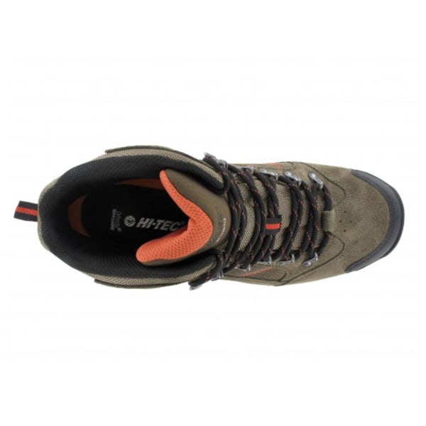 HI-TEC Men's Mount Diablo i WP Hiking Boots