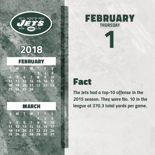 NEW YORK JETS 2018 Daily Box Calendar