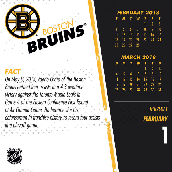 BOSTON BRUINS 2018 Daily Box Calendar