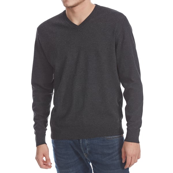 RUGGED TRAILS Men's Solid V-Neck Long-Sleeve Sweater