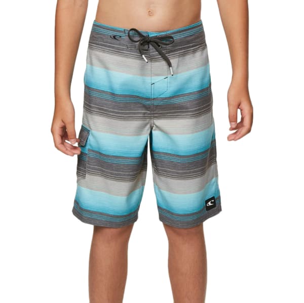 O'NEILL Big Boys' Santa Cruz Stripe Boardshorts