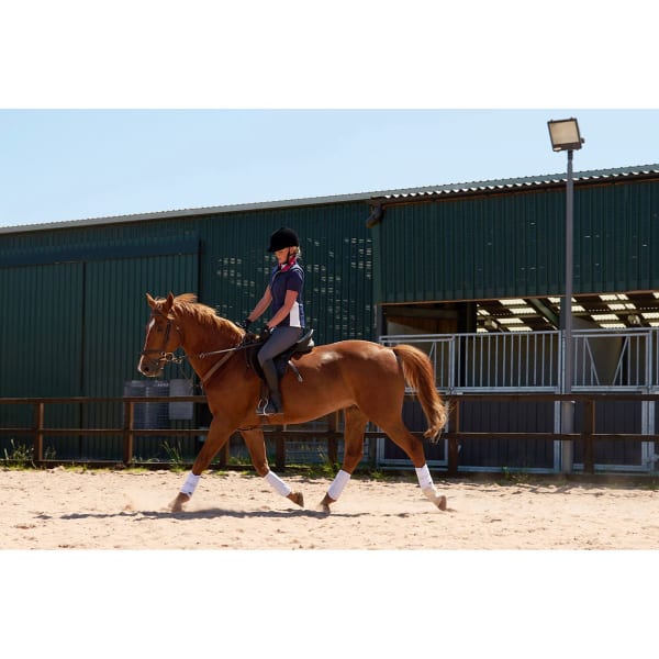 REQUISITE Brushing Horse Boots