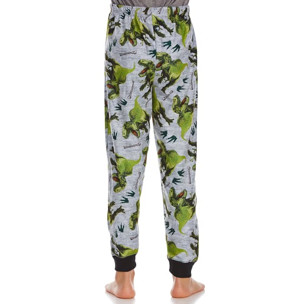 KOMAR Big Boys' Jurassic Sleep Pants