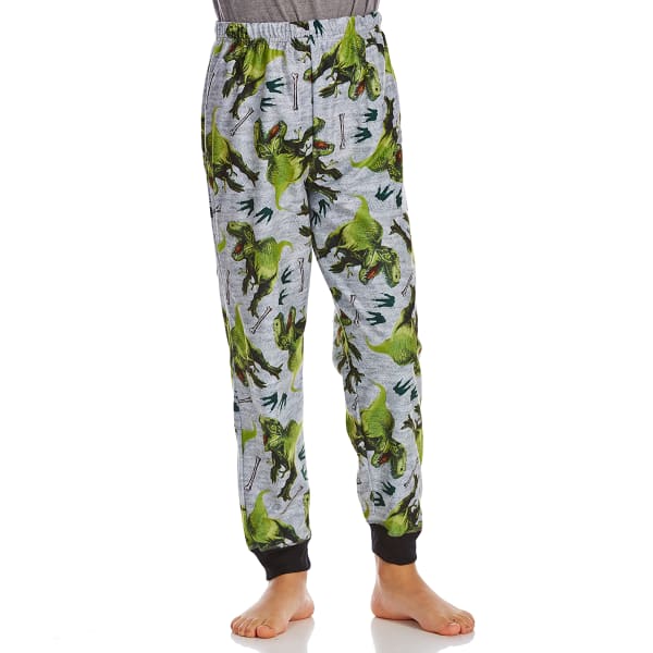 KOMAR Big Boys' Jurassic Sleep Pants