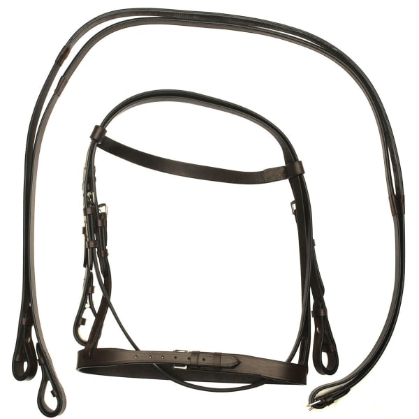 REQUISITE Raised Horse Bridle and Reins