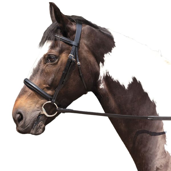 REQUISITE Raised Horse Bridle and Reins