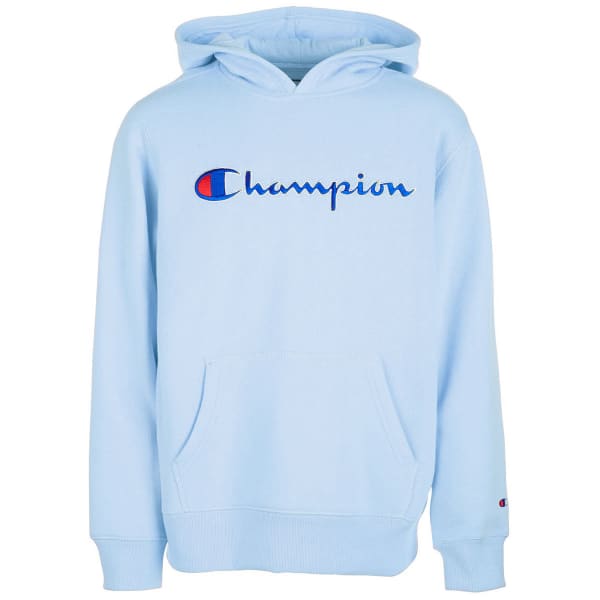 powder blue champion hoodie