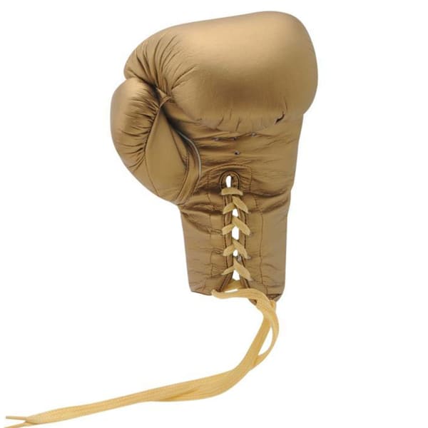 EVERLAST Autograph Boxing Gloves