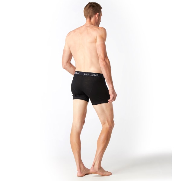 SMARTWOOL Men's Merino Sport 150 Boxer Briefs