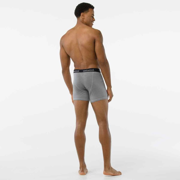 SMARTWOOL Men's Merino 150 Micro Stripe Boxer Briefs