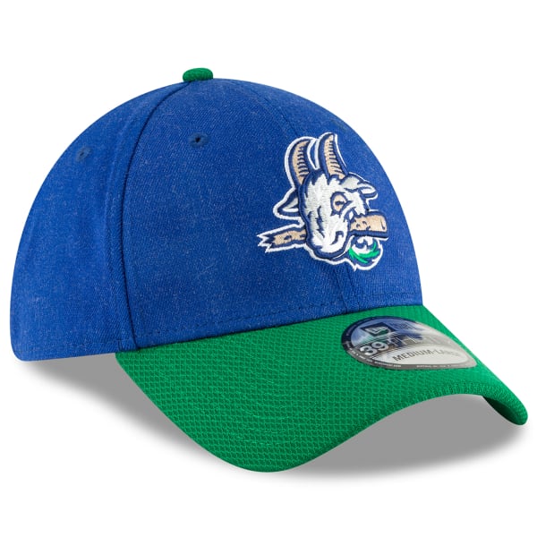 HARTFORD YARD GOATS Men's Change Up Redux Fitted Cap