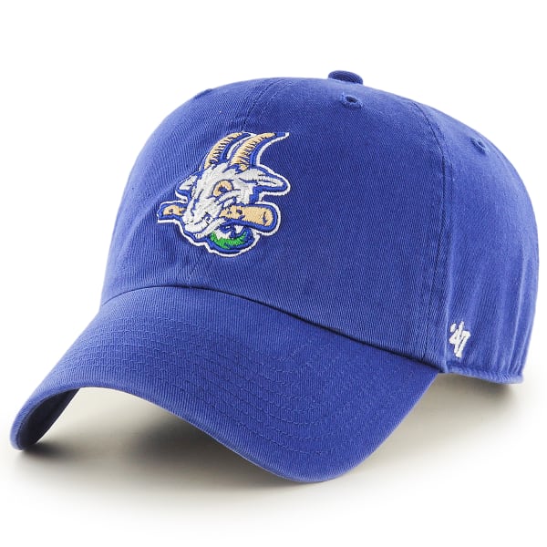 HARTFORD YARD GOATS Kids' '47 Clean Up Adjustable Cap