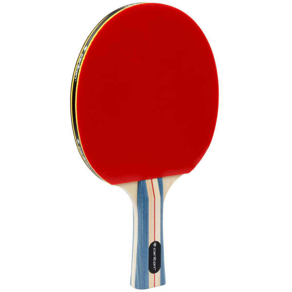 CARLTON 2-Player Table Tennis Set