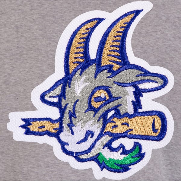 HARTFORD YARD GOATS Men's Two-Tone Reversible Fleece Jacket