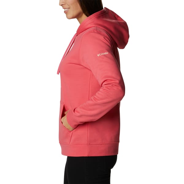 COLUMBIA Women's Trek Graphic Hoodie