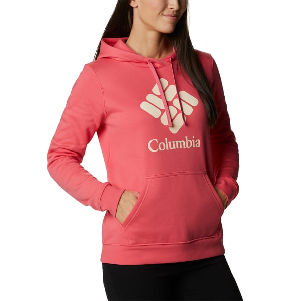 COLUMBIA Women's Trek Graphic Hoodie