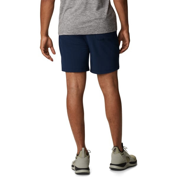 COLUMBIA Men's Alpine Chill Zero Shorts