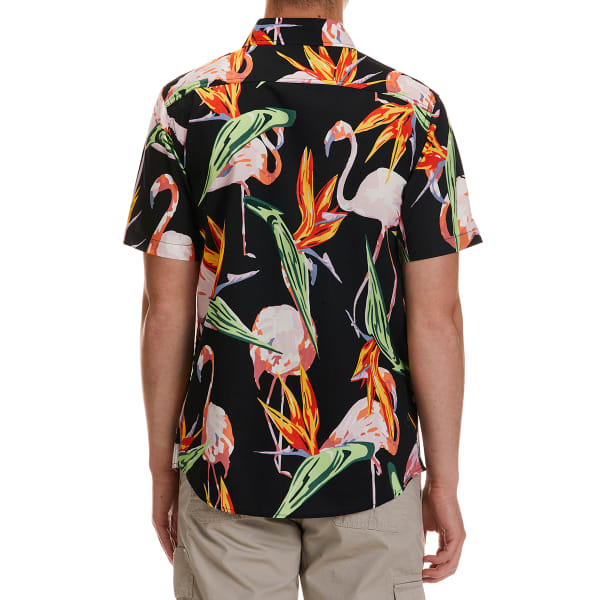 OCEAN CURRENT Young Men's Flamingo Button-Down Shirt