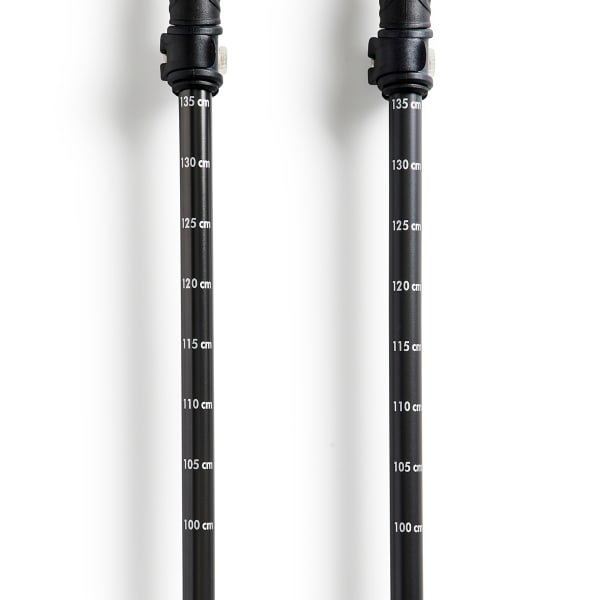 EMS Journey Trekking Poles