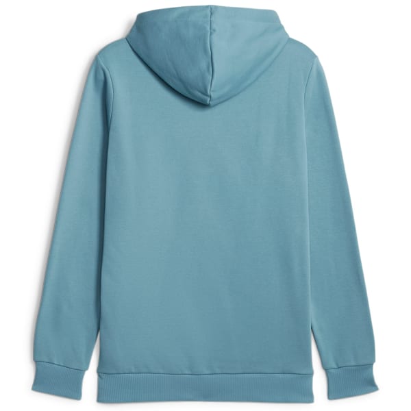 PUMA Men's Essentials Big Logo Men's Hoodie