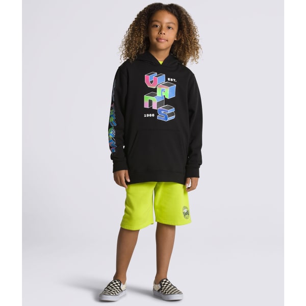 VANS Boys' Digital Flash Pullover Hoodie