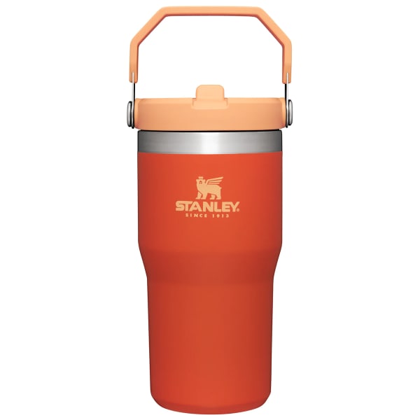 The Wild Imagination IceFlow™ Flip Straw Kids Water Bottle - Stanley