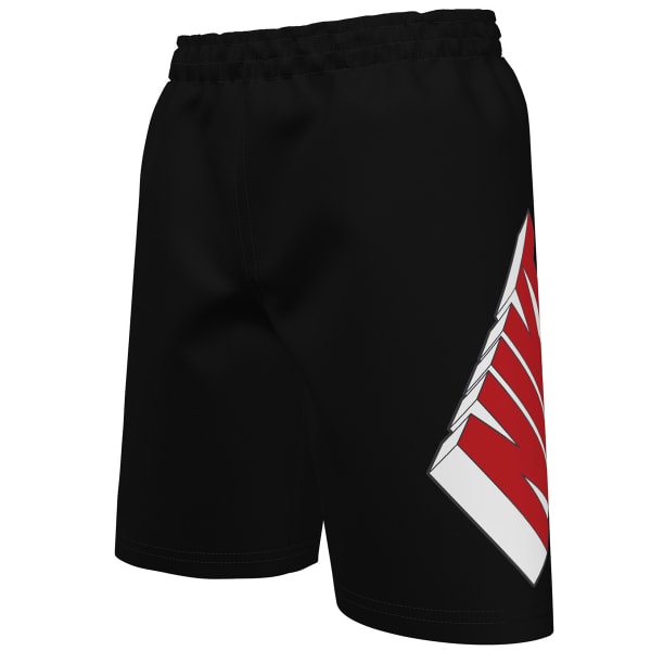 NIKE Boys' 3D Volley Swim Trunks