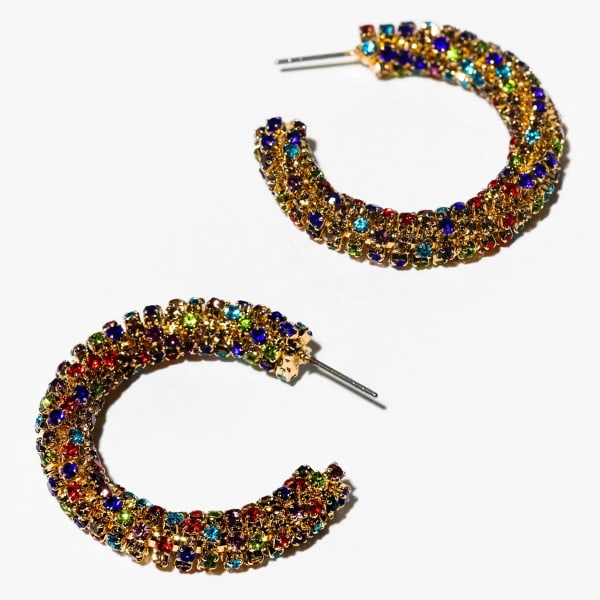 CHARMING CHARLIE Rainbow Crystal Earrings