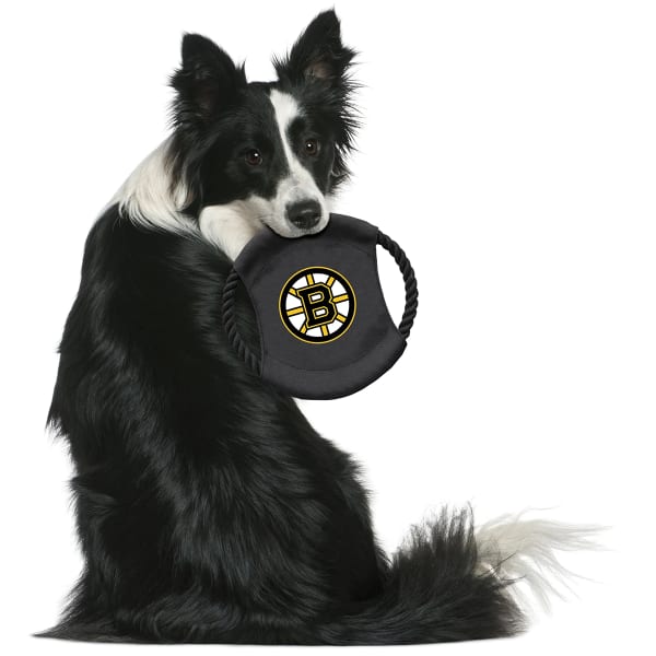 BOSTON BRUINS Team Flying Disc Pet Toy