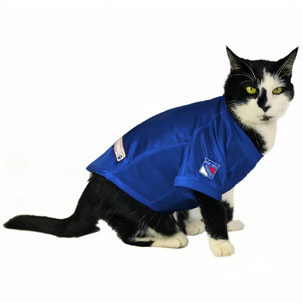 NEW YORK RANGERS Pet Stretch Jersey