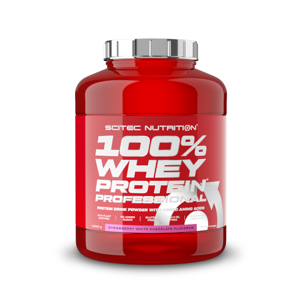 Whey Protein Professional