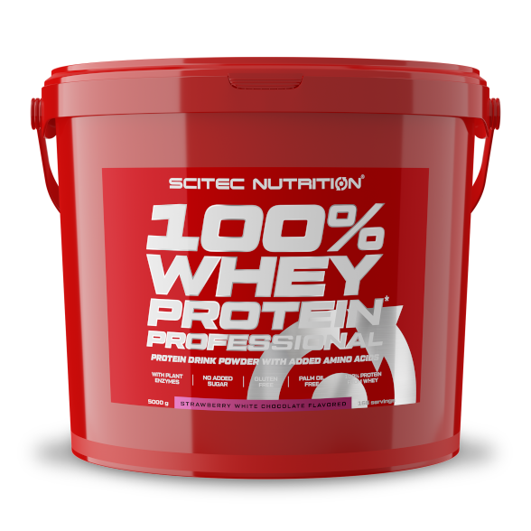 Whey Protein Professional