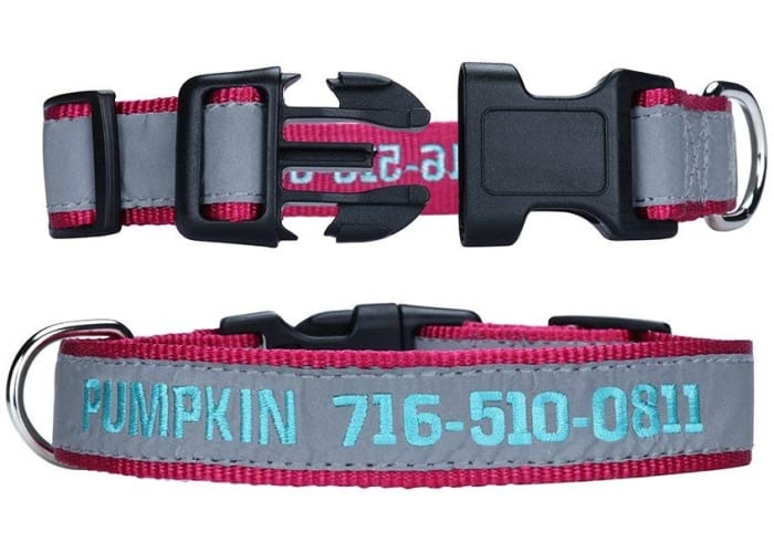 Personalized Dog ID Collar