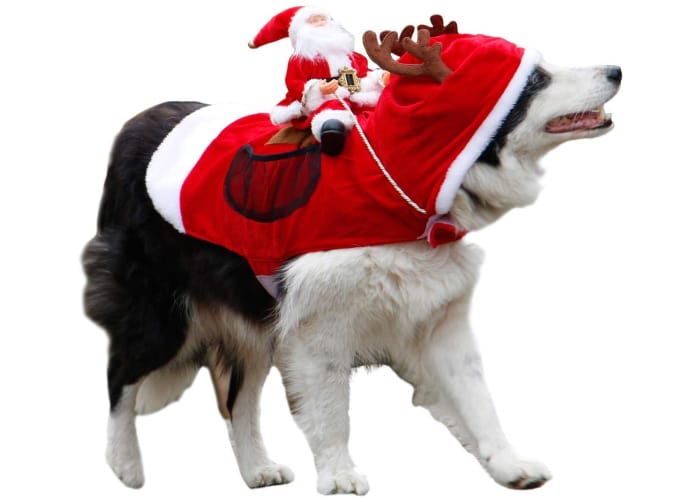 "Running Santa" Christmas Dog Costume