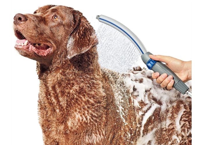 Waterpik PPR-252 Pet Wand Pro Dog Shower Attachment