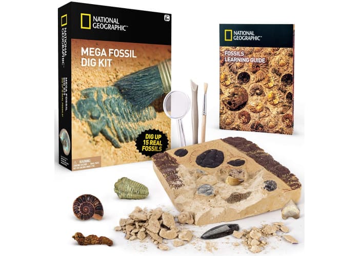 National Geographic Mega Fossil Dig Kit