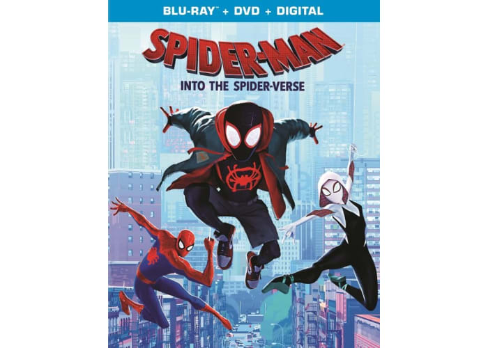 Spider-Man: Into the Spider-Verse (DVD + Digital HD)