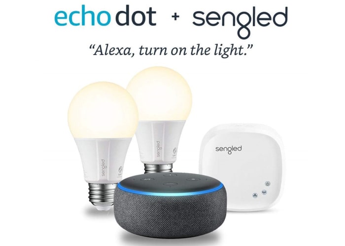Echo Dot with 2 Smart Bulb Kit