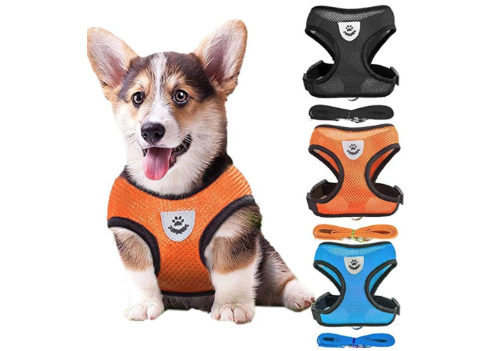 Kigin Adjustable Dog Mesh Vest Harness