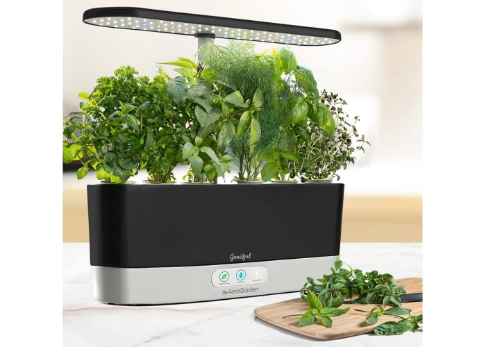 AeroGarden Harvest Slim Countertop Garden & Gourmet Herbs Seed Kit