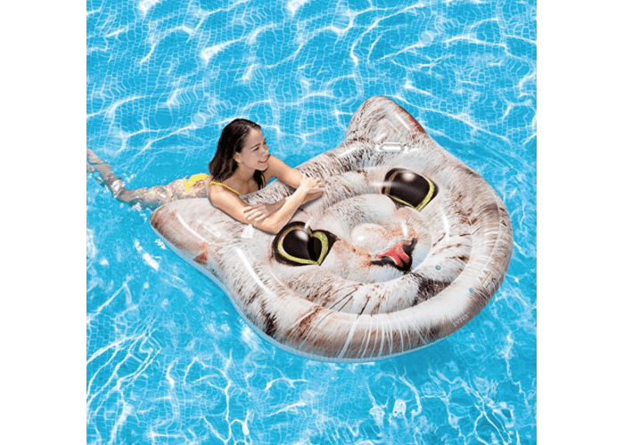 Intex Cat Face Inflatable Island