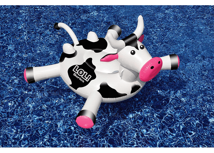 2-pk Swimline LOL Cow Inflatable Pool Float