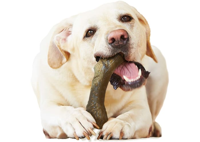 Large Nylabone Dura Dog Chew Toy