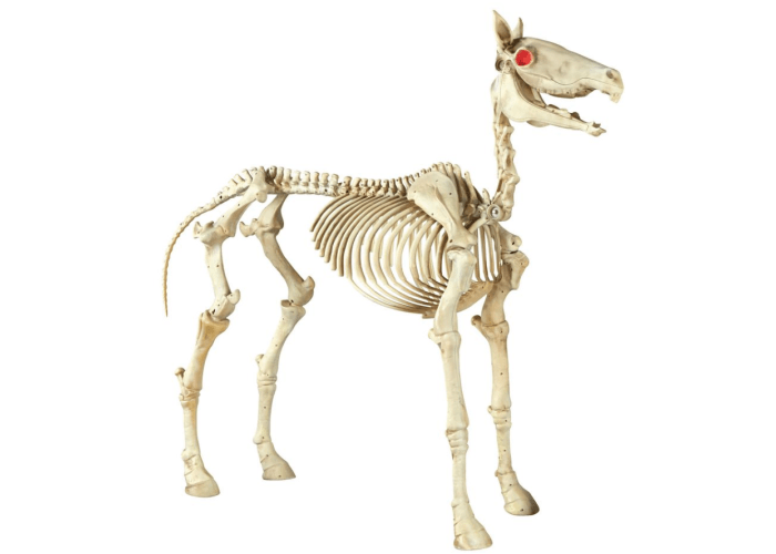 74" Halloween Standing Skeleton Horse