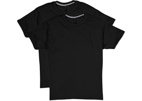 2-pk Hanes Men's X-Temp Performance T-Shirts